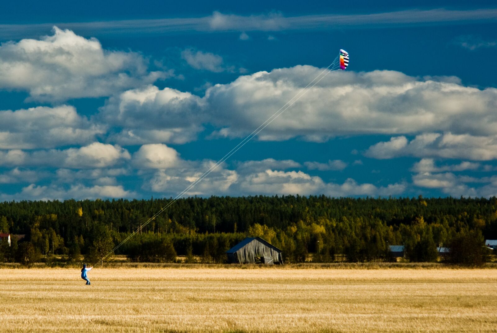 Pentax K200D sample photo. Kite, field, fly photography