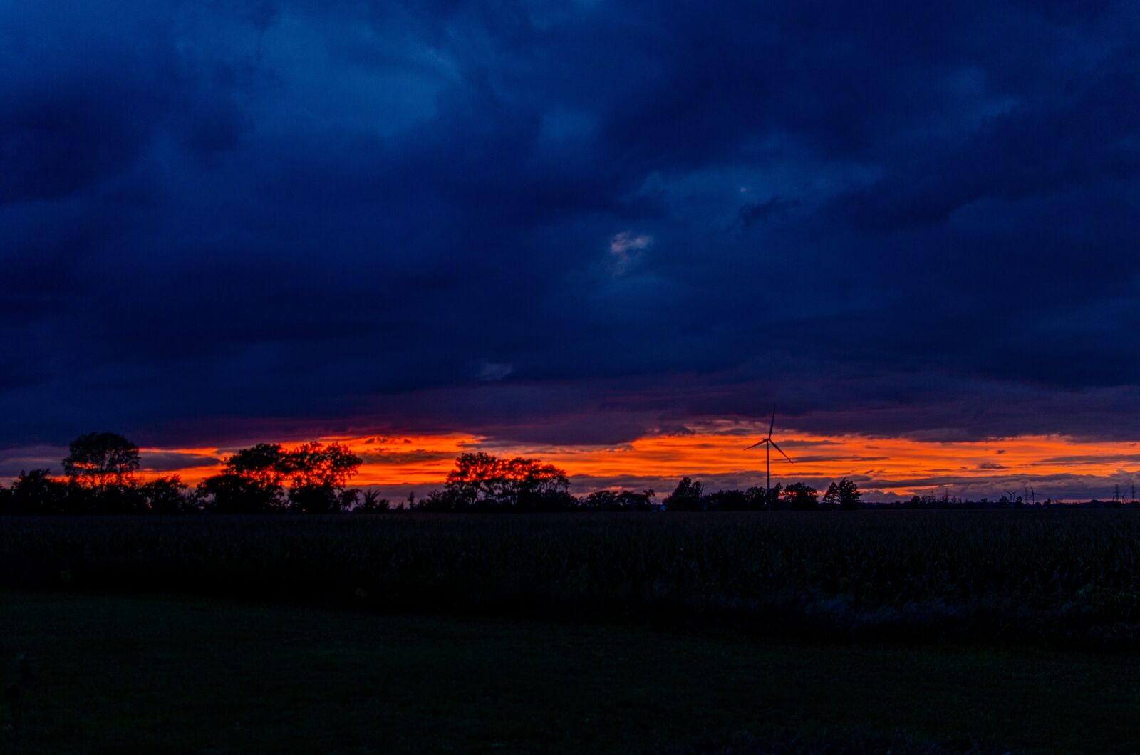 Nikon D7000 sample photo. Sunset, blue, black photography