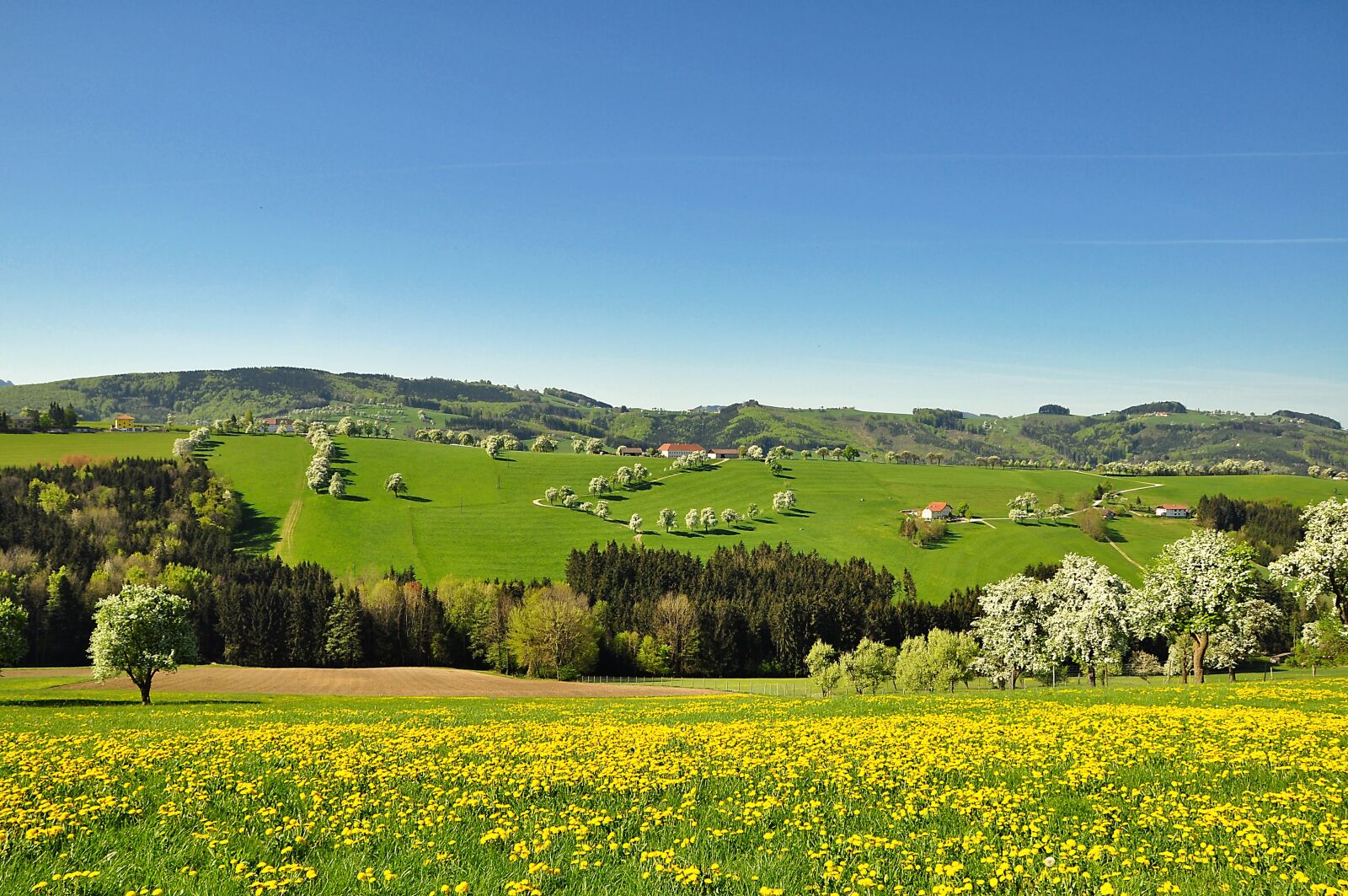 Nikon D90 sample photo. Nature, landscape, spring photography