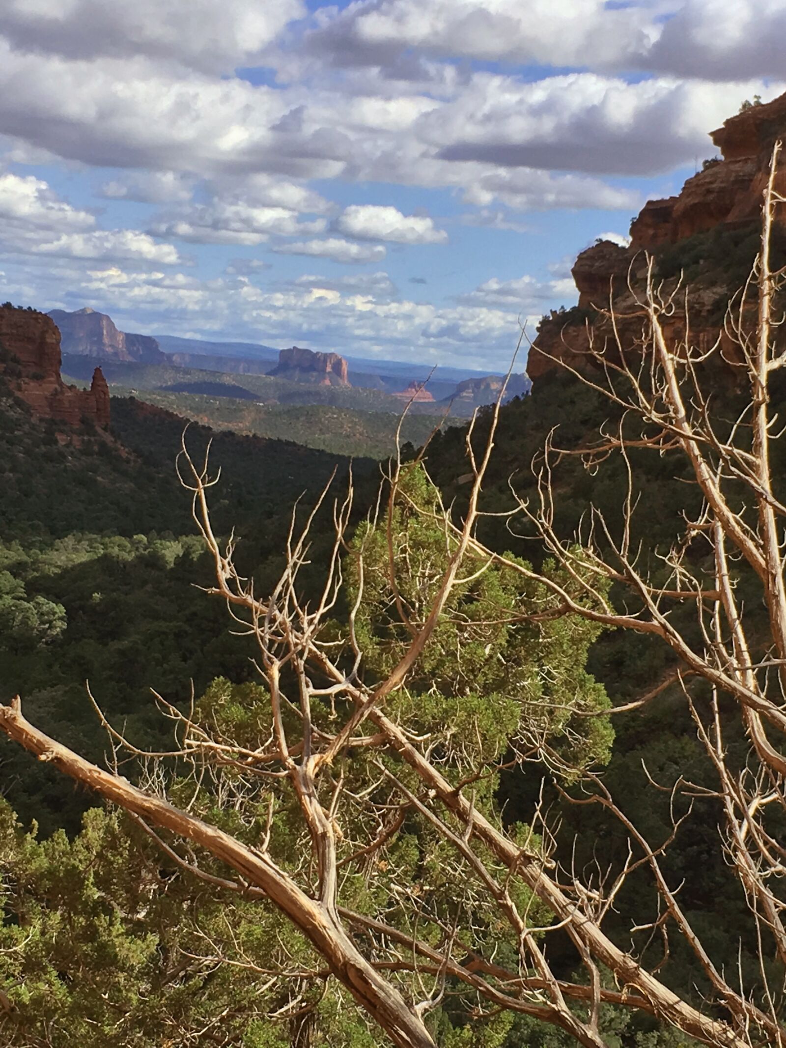 iPhone SE back camera 4.15mm f/2.2 sample photo. Sedona, arizona, southwest photography