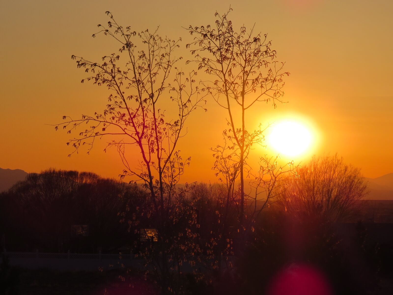 Canon PowerShot SX50 HS sample photo. Sunset, beauty, nature photography