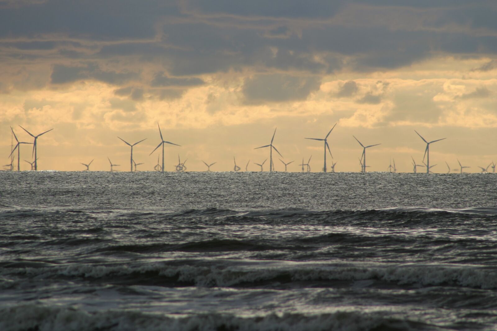 Canon EOS 10D sample photo. Wind park, pinwheel, wind photography