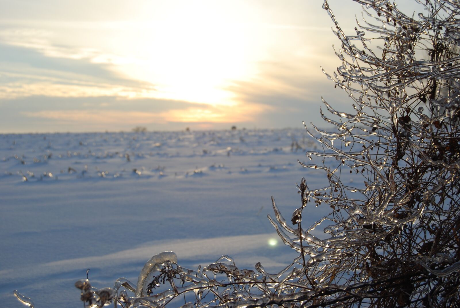 Nikon D40X sample photo. Frosty, sunny, landscape photography
