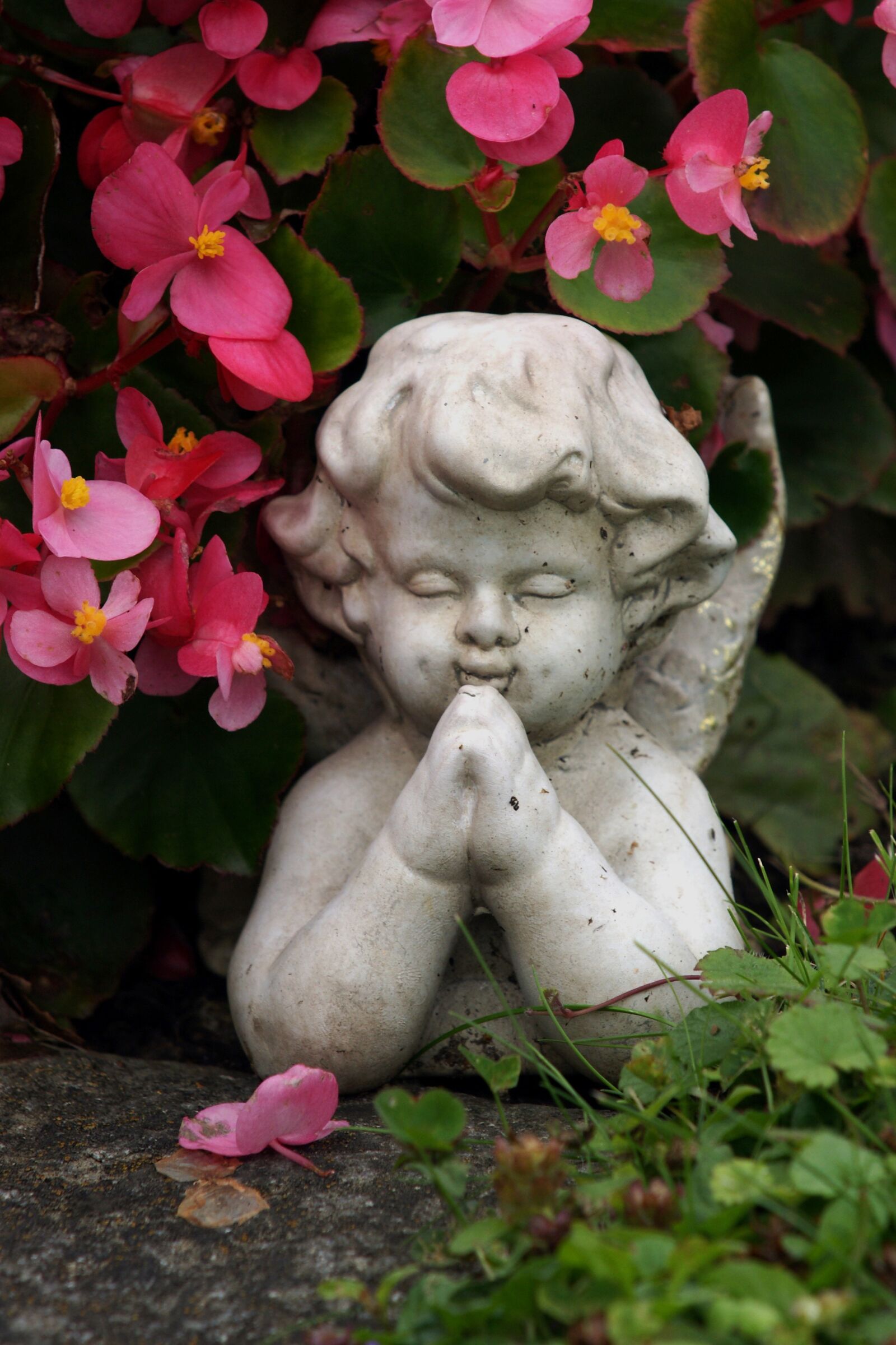 Sony Alpha DSLR-A700 sample photo. Angel, angel face, decoration photography