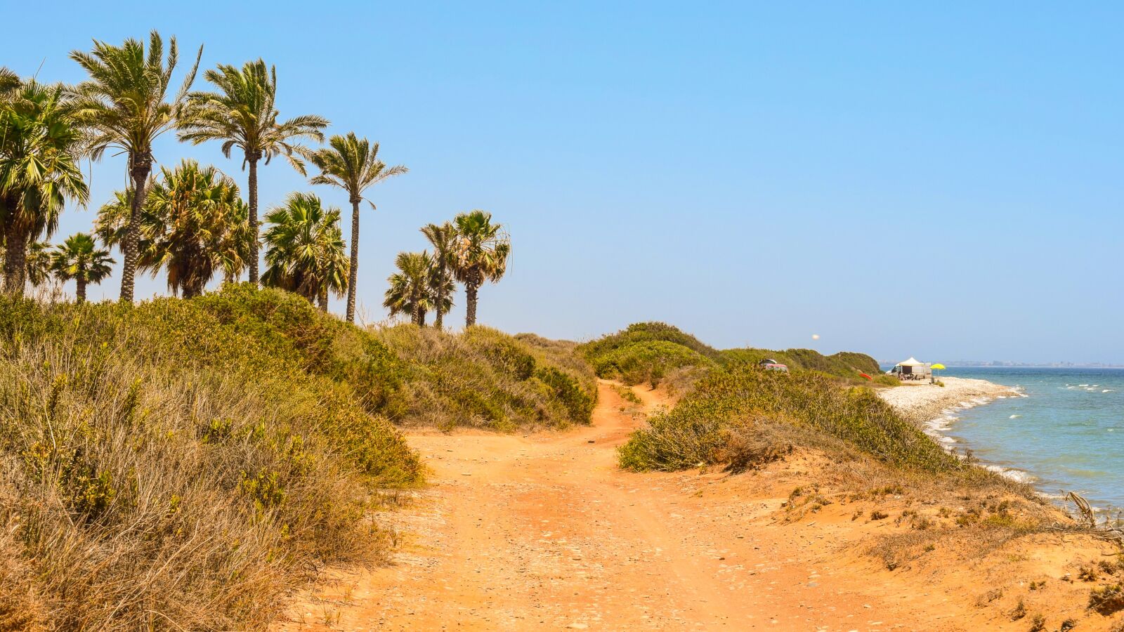 Nikon D3300 sample photo. Palm trees, landscape, summer photography