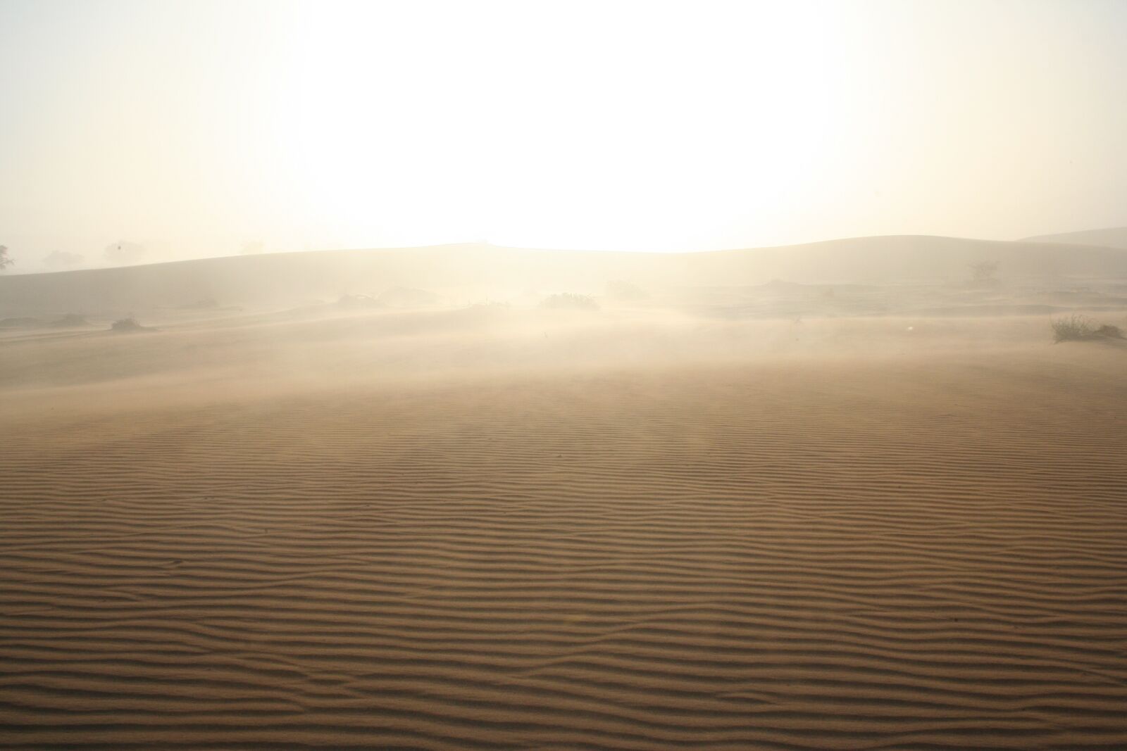 Canon EOS 350D (EOS Digital Rebel XT / EOS Kiss Digital N) sample photo. Sunrise, desert, africa photography