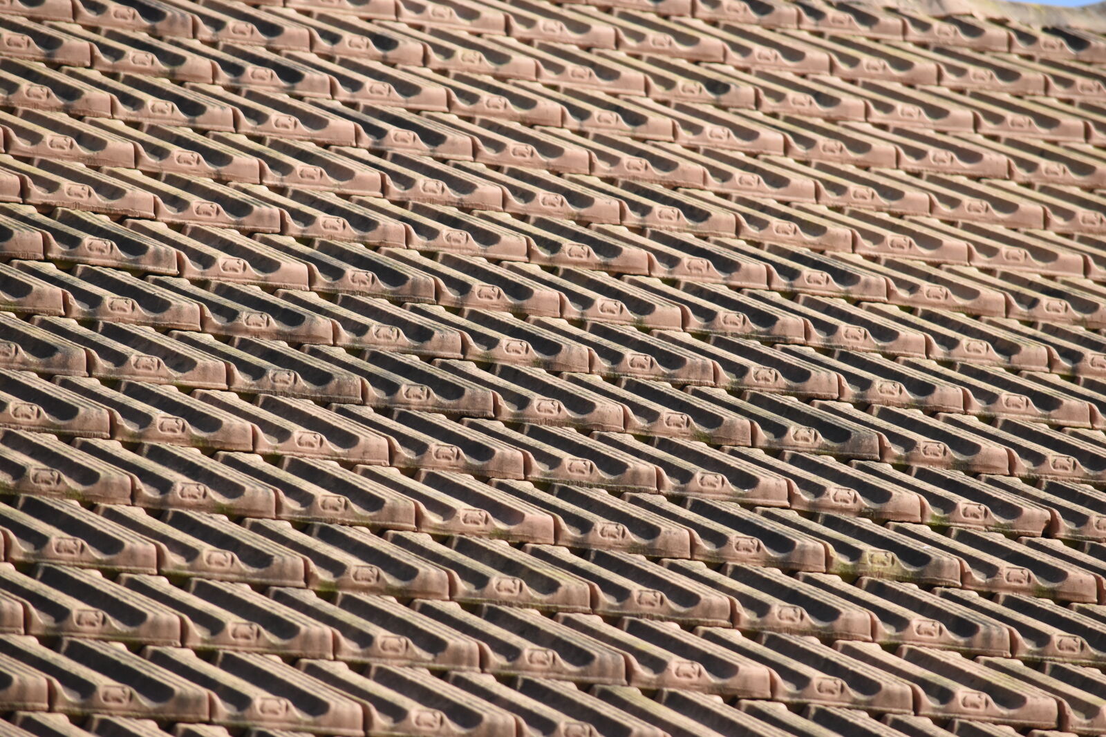 Nikon D5500 sample photo. Roof, plate, rooftop photography