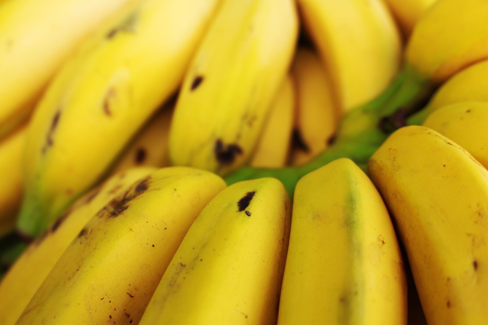 Canon EOS 700D (EOS Rebel T5i / EOS Kiss X7i) + Canon EF-S 18-55mm F3.5-5.6 IS STM sample photo. Banana, the banana background photography
