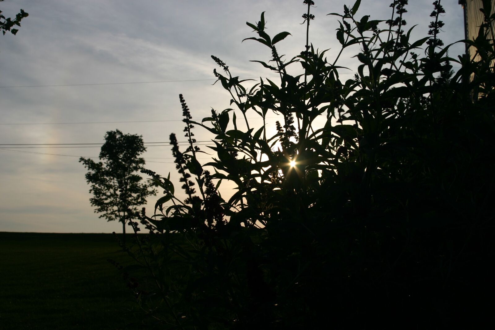 Canon EOS 300D (EOS Digital Rebel / EOS Kiss Digital) sample photo. Sunset, silhouette, sky photography