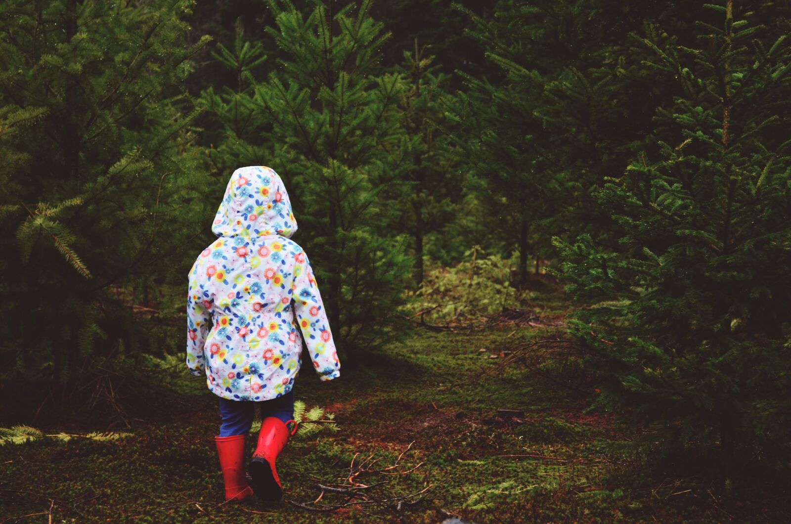 Nikon D5100 sample photo. Little girl, walking, woods photography
