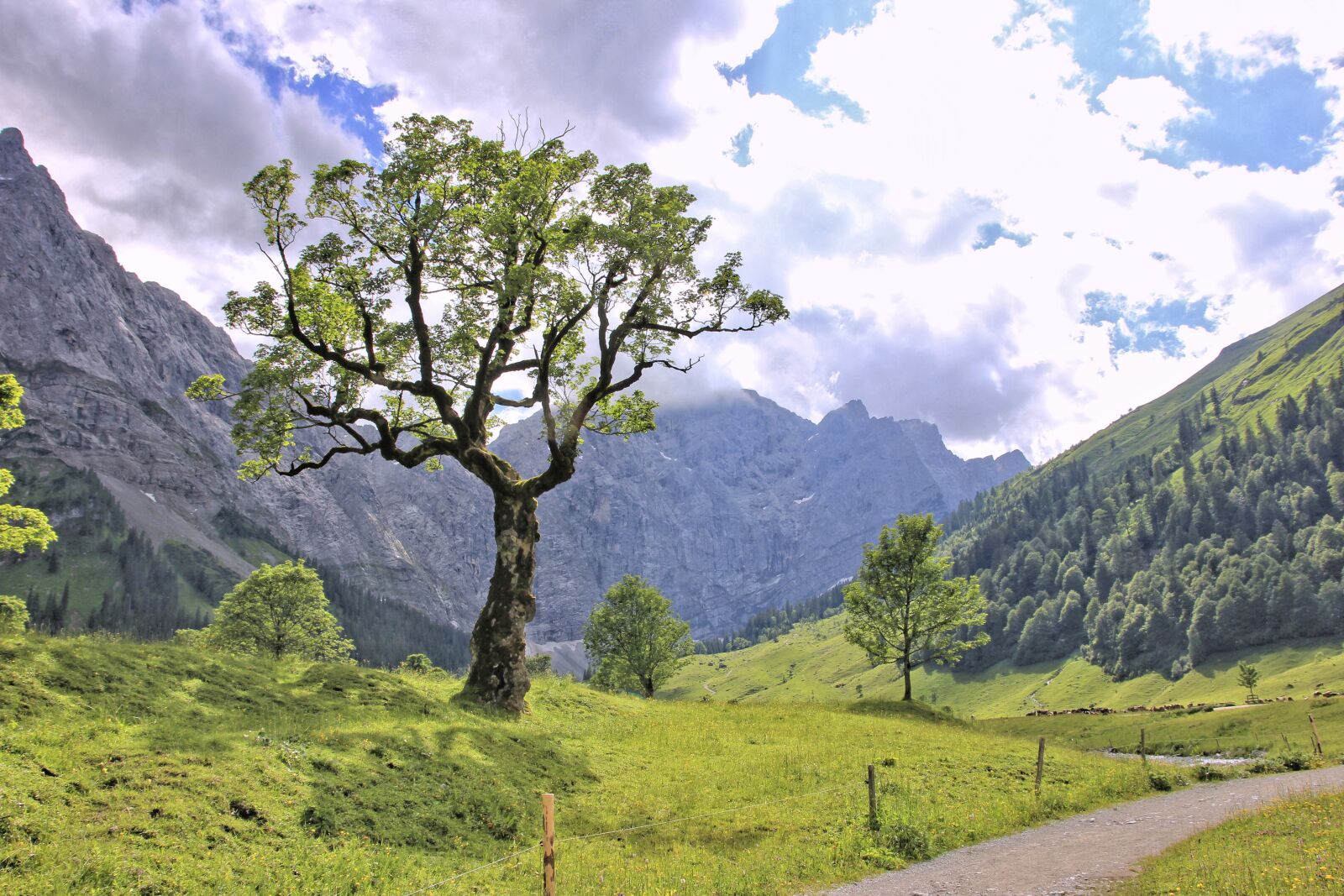 Canon EOS 550D (EOS Rebel T2i / EOS Kiss X4) sample photo. Nature, mountain, landscape photography