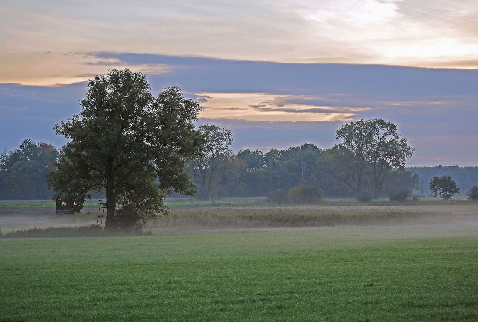 Panasonic Lumix DMC-GH3 sample photo. Landscape, land, sky, grass photography