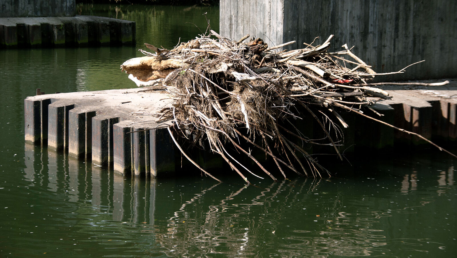 Nikon D40X sample photo. Bridge, theme, layers, water photography