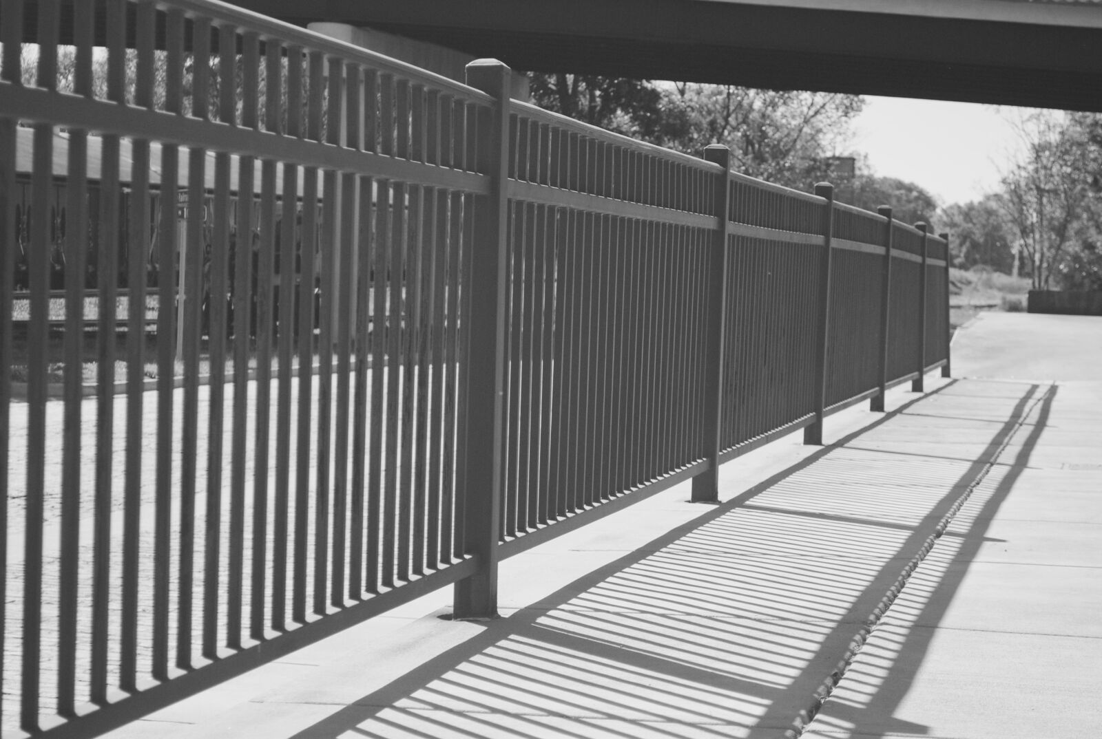 Nikon D3000 sample photo. Rail, fence, black and photography