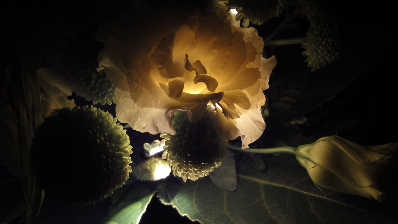 Sony Cyber-shot DSC-WX1 sample photo. Birthday, bouquet, flowers, night photography