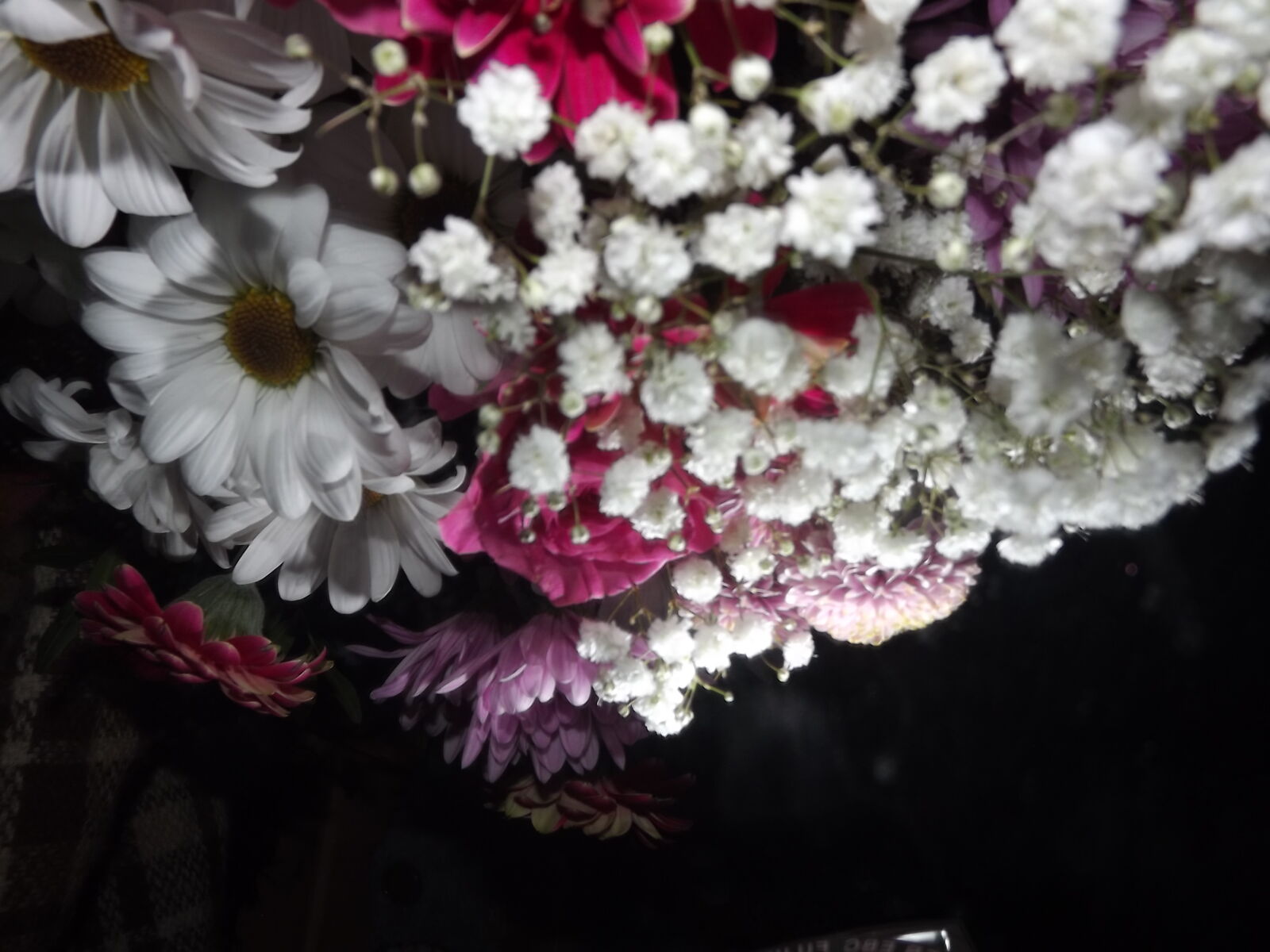 Fujifilm FinePix S3300 sample photo