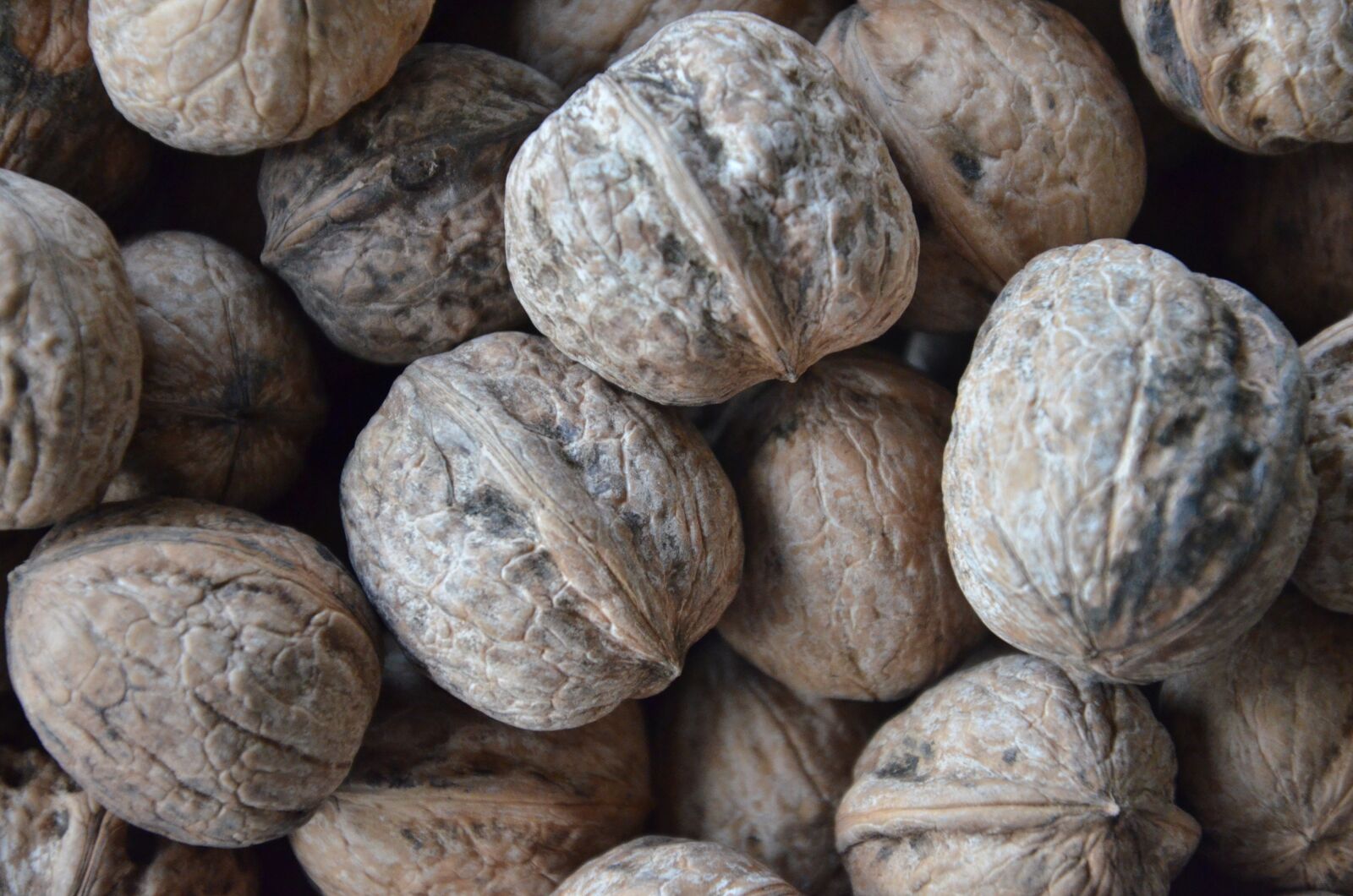 Nikon D7000 sample photo. Fruit, secca, walnuts photography