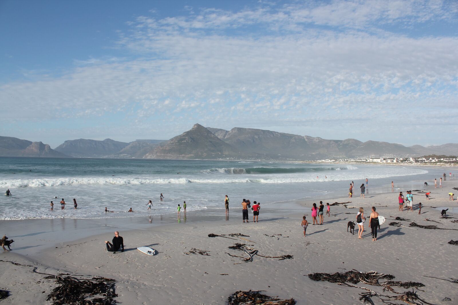 Canon EOS 550D (EOS Rebel T2i / EOS Kiss X4) sample photo. Beach, kommetjie, southafrica photography