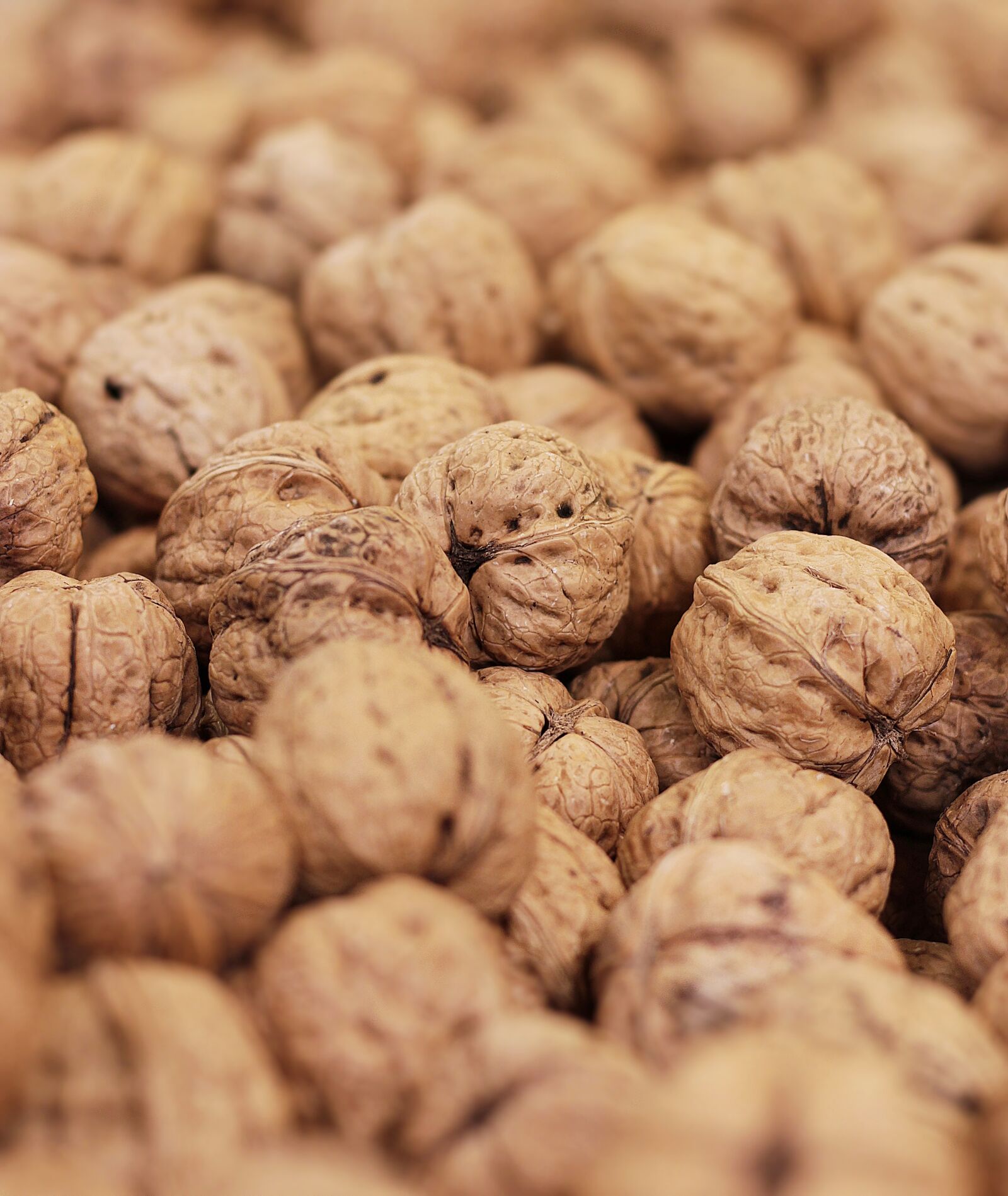 Canon EOS 100D (EOS Rebel SL1 / EOS Kiss X7) + Canon EF 50mm F1.8 STM sample photo. Walnuts, nuts, juglans photography