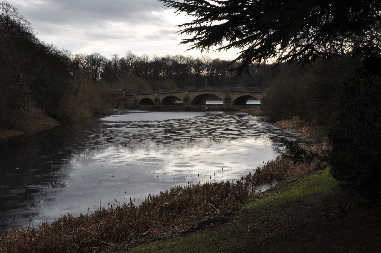 Nikon D5000 sample photo. Nostell priory, parkland, wakefield photography