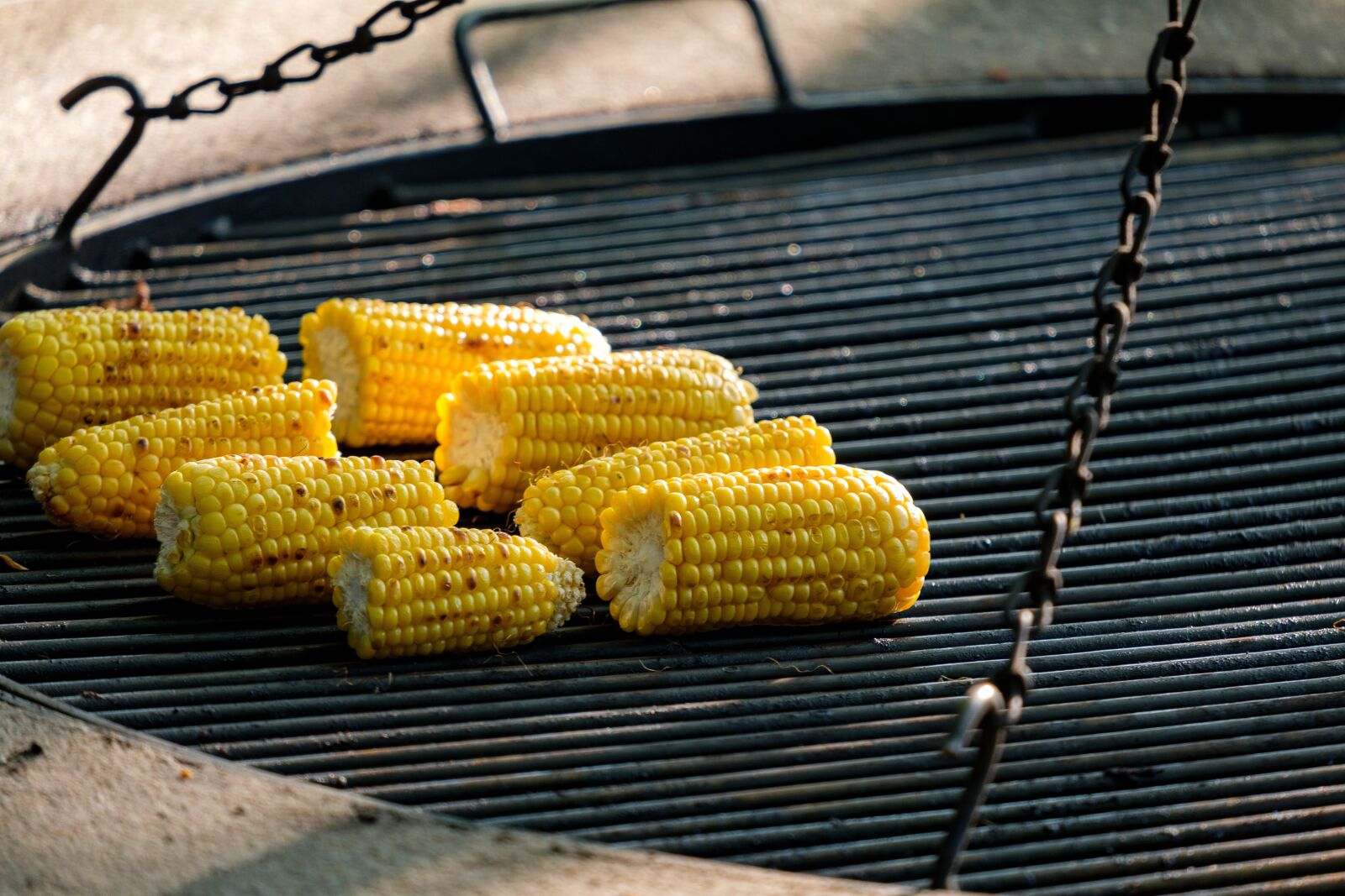 Fujifilm X-T2 + Fujifilm XF 55-200mm F3.5-4.8 R LM OIS sample photo. Corn, corn on the photography