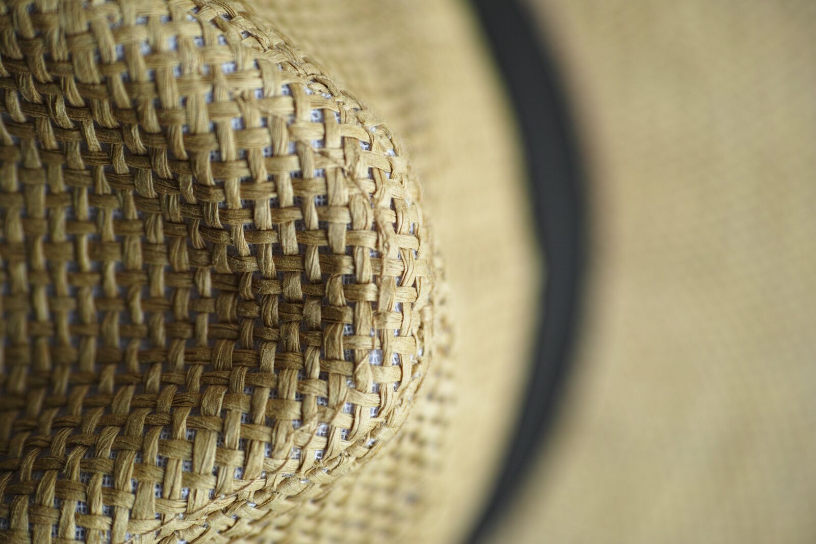 Sigma DP3 Merrill sample photo. Hat, wire mesh, detail photography