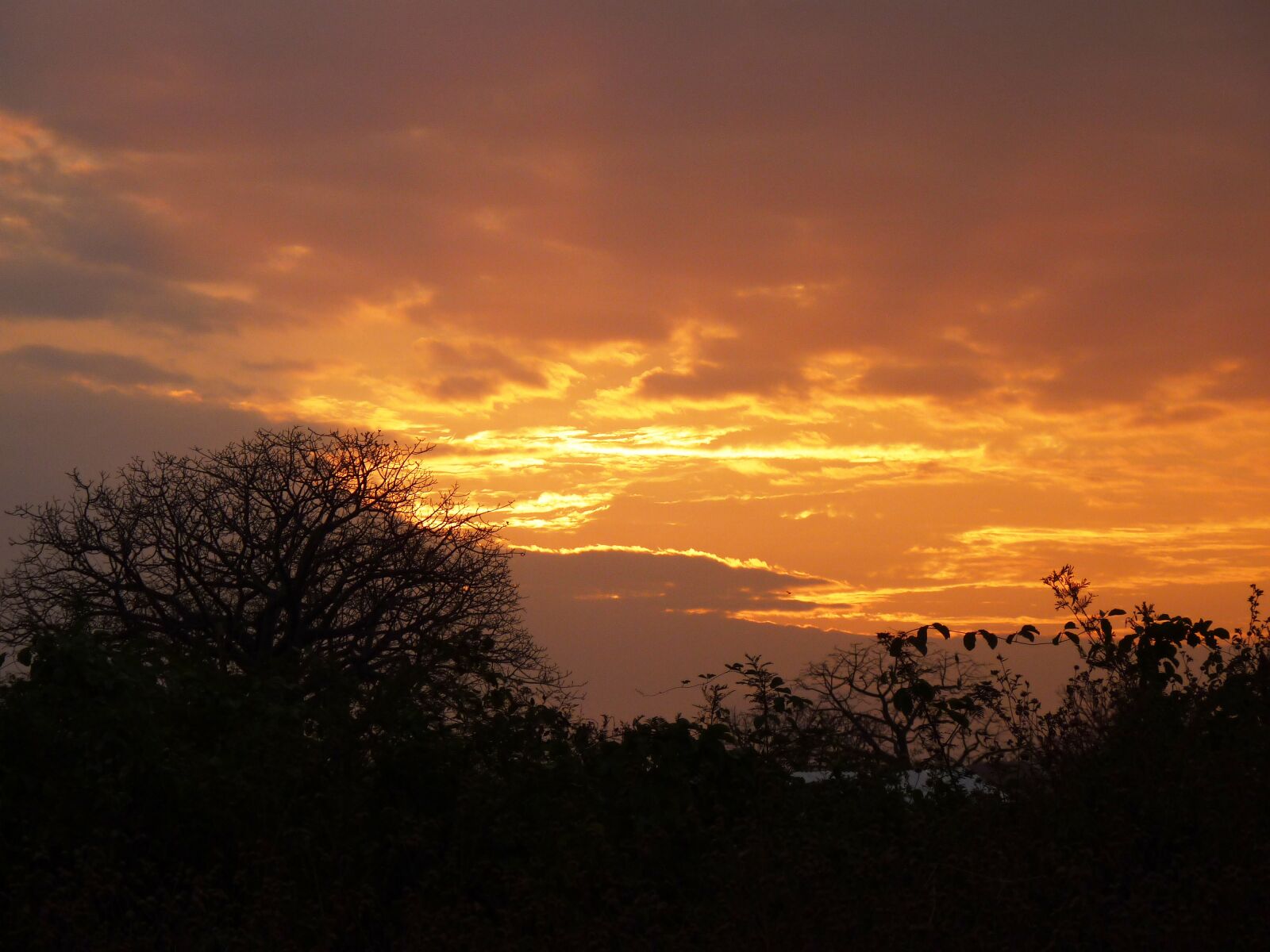 Panasonic Lumix DMC-FZ35 (Lumix DMC-FZ38) sample photo. Sunset, sky, orange photography