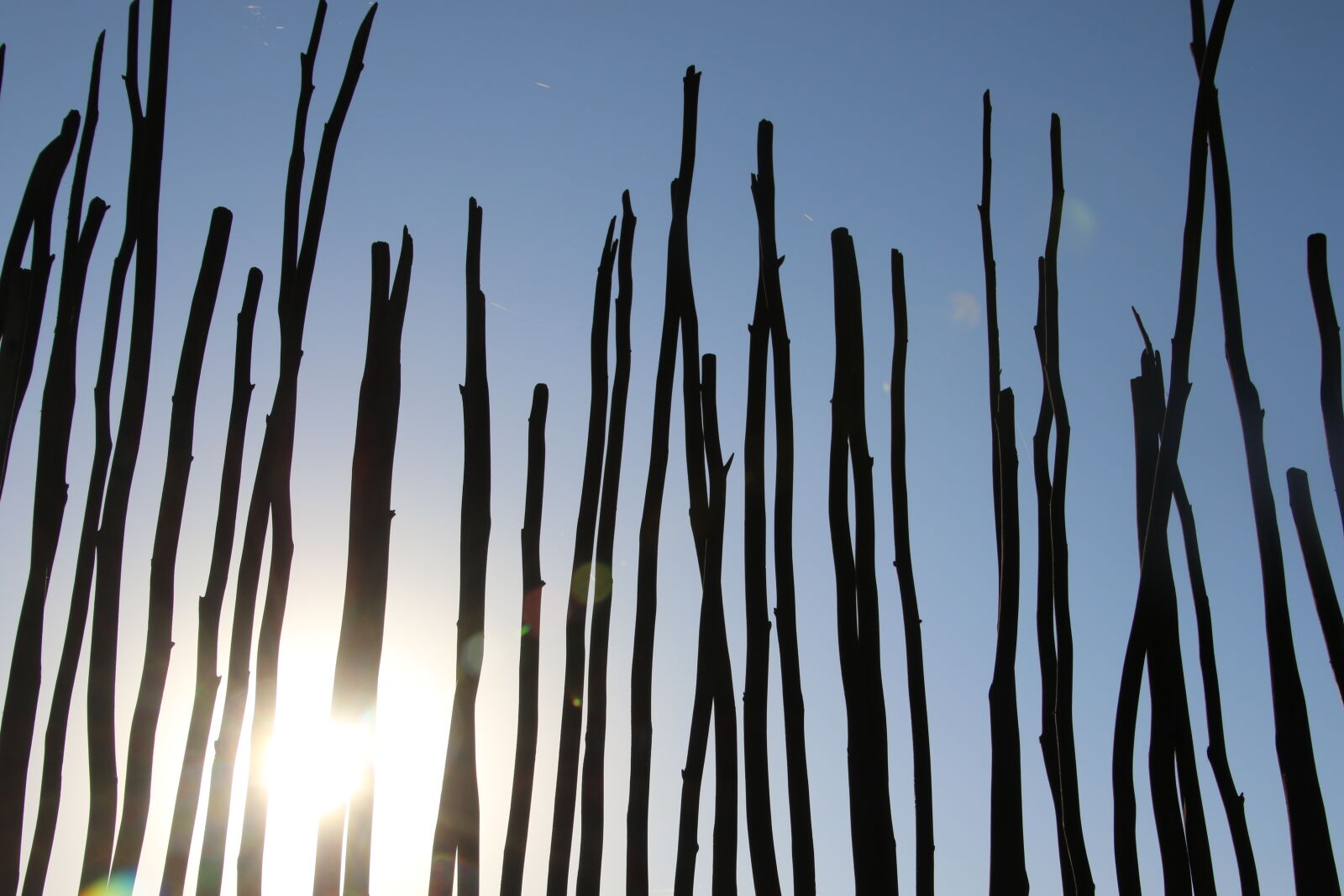 Canon EOS 7D Mark II sample photo. Blue, sky, fence, sun photography