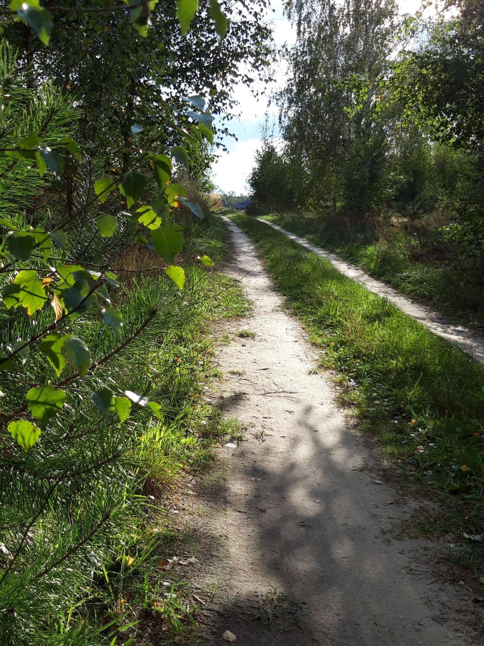 Samsung Galaxy A6 sample photo. Way, nature, green photography