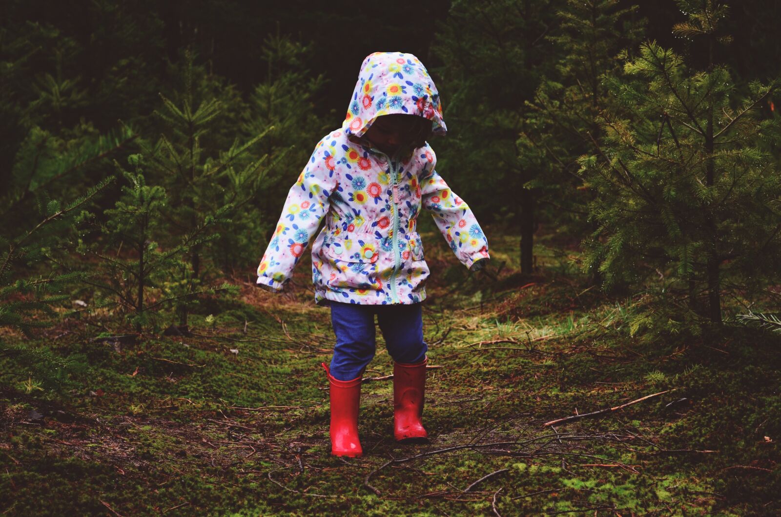 Nikon D5100 sample photo. Little girl, woods, forest photography