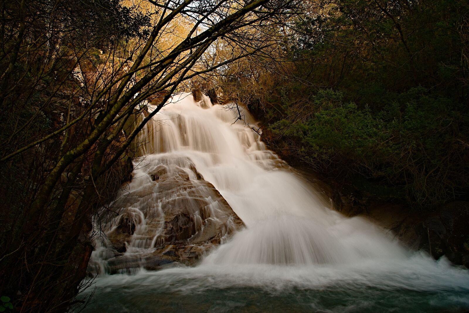 Nikon D800 sample photo. River, water, forest photography