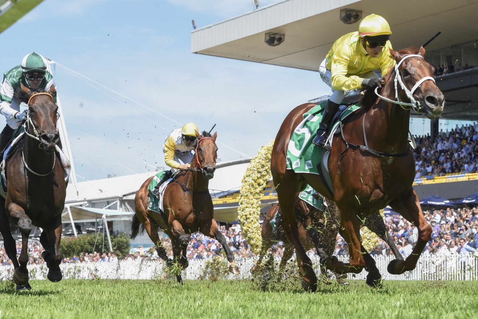 Nikon D4S sample photo. Thoroughbred, racing, horses photography