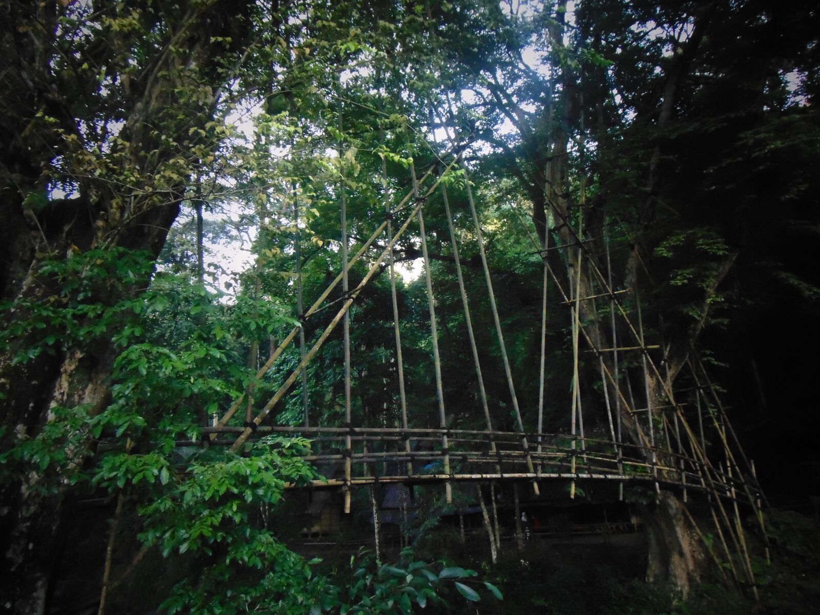 Sony Cyber-shot DSC-H300 sample photo. Baduy, indonesia, alam photography