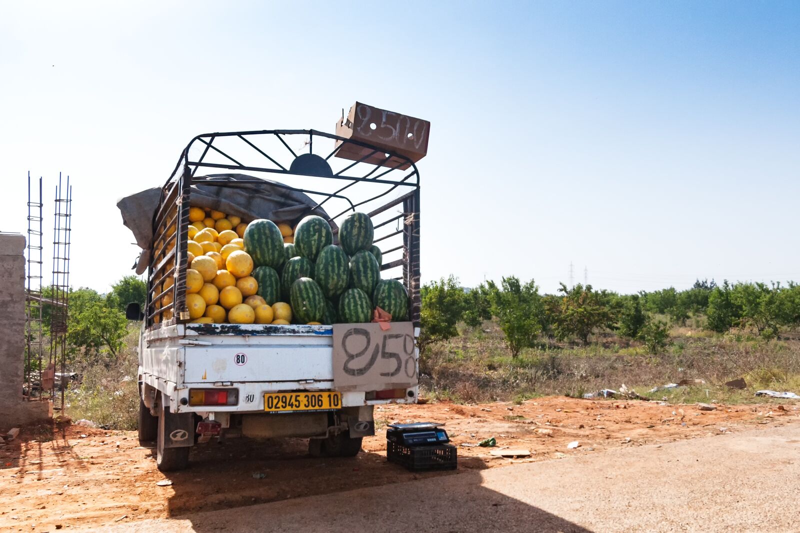 Nikon D90 sample photo. Road, tipaza, algeria photography