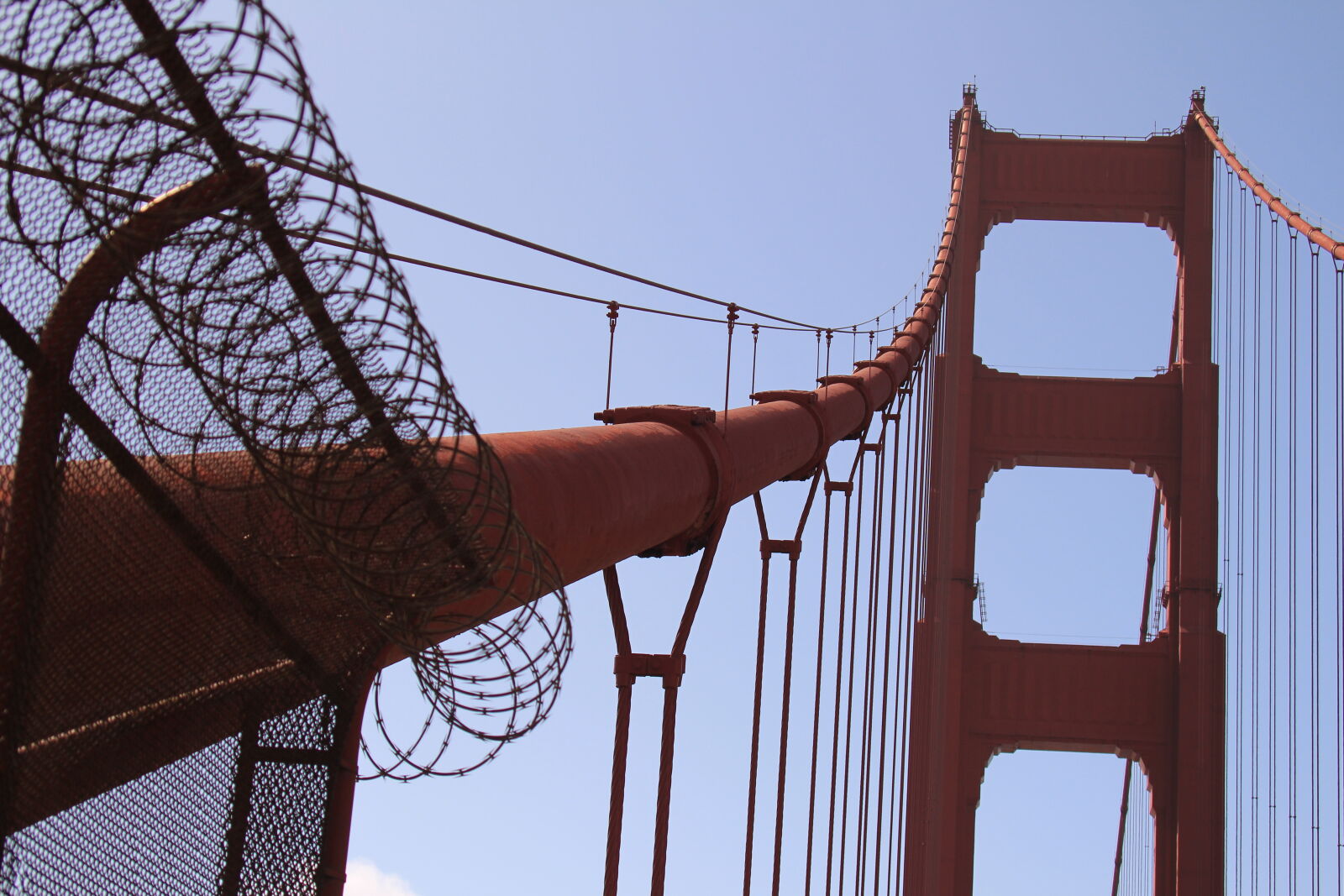 Canon EOS 700D (EOS Rebel T5i / EOS Kiss X7i) + Canon EF 35-350mm F3.5-5.6L USM sample photo. Busterposey, crunchies, goldengatebridge, muni photography