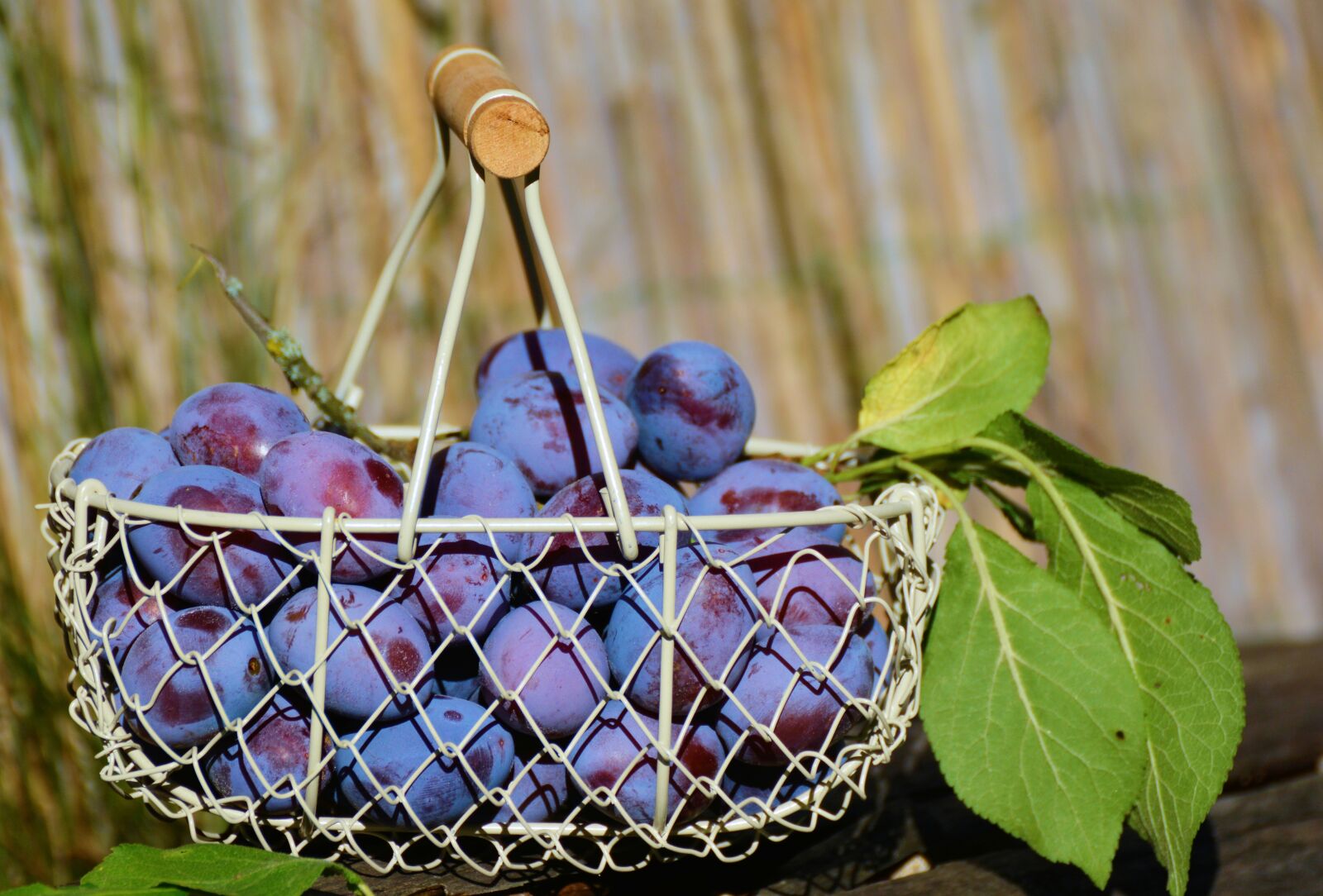 Nikon D5200 sample photo. Plums, fruit basket, fruit photography