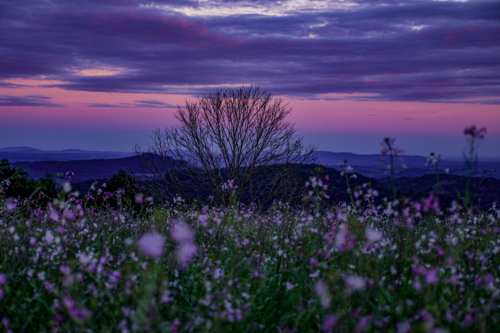 Nikon D7200 sample photo. Hills, mountains, nature photography
