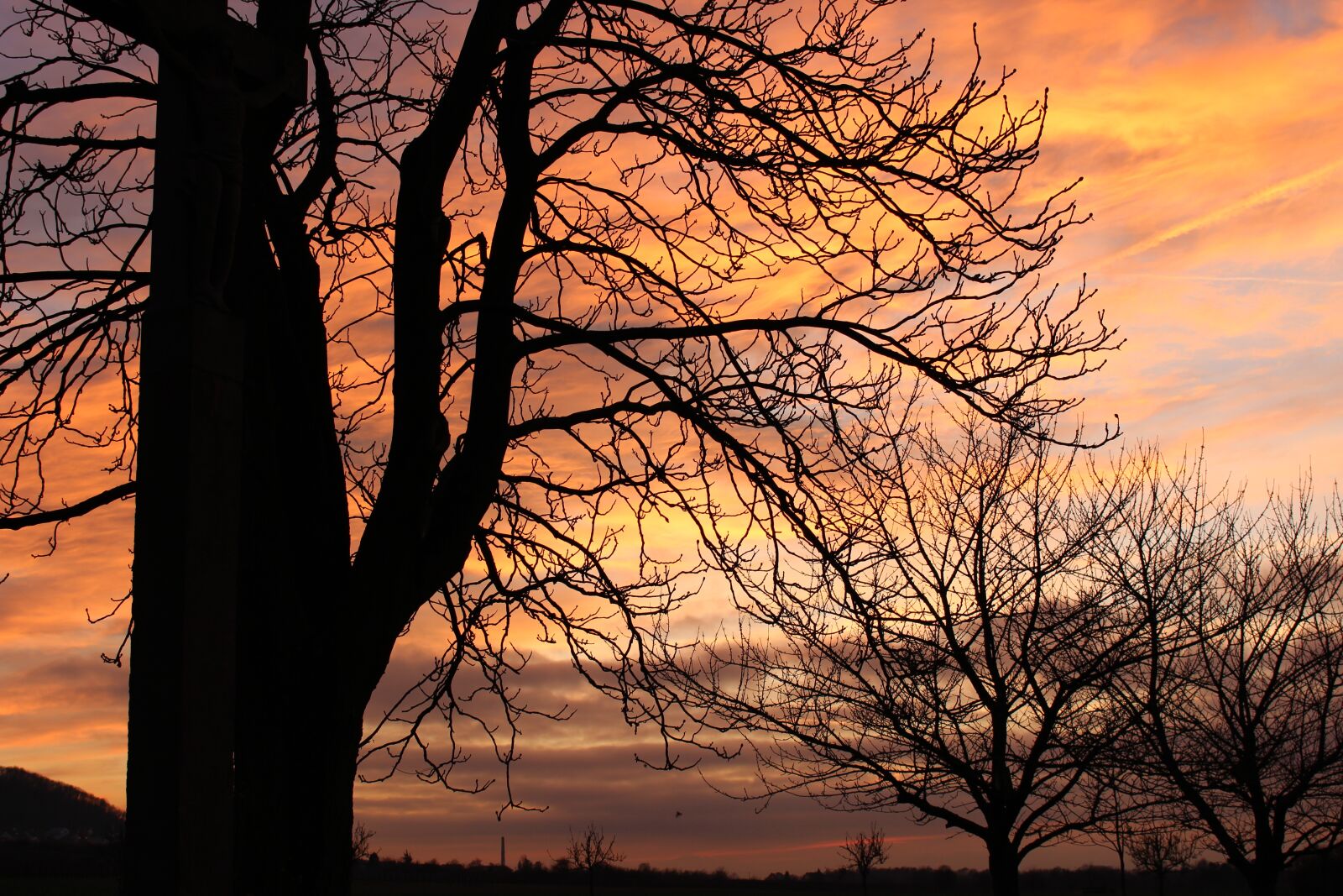 Canon EOS 700D (EOS Rebel T5i / EOS Kiss X7i) sample photo. Sunset, germany, city photography