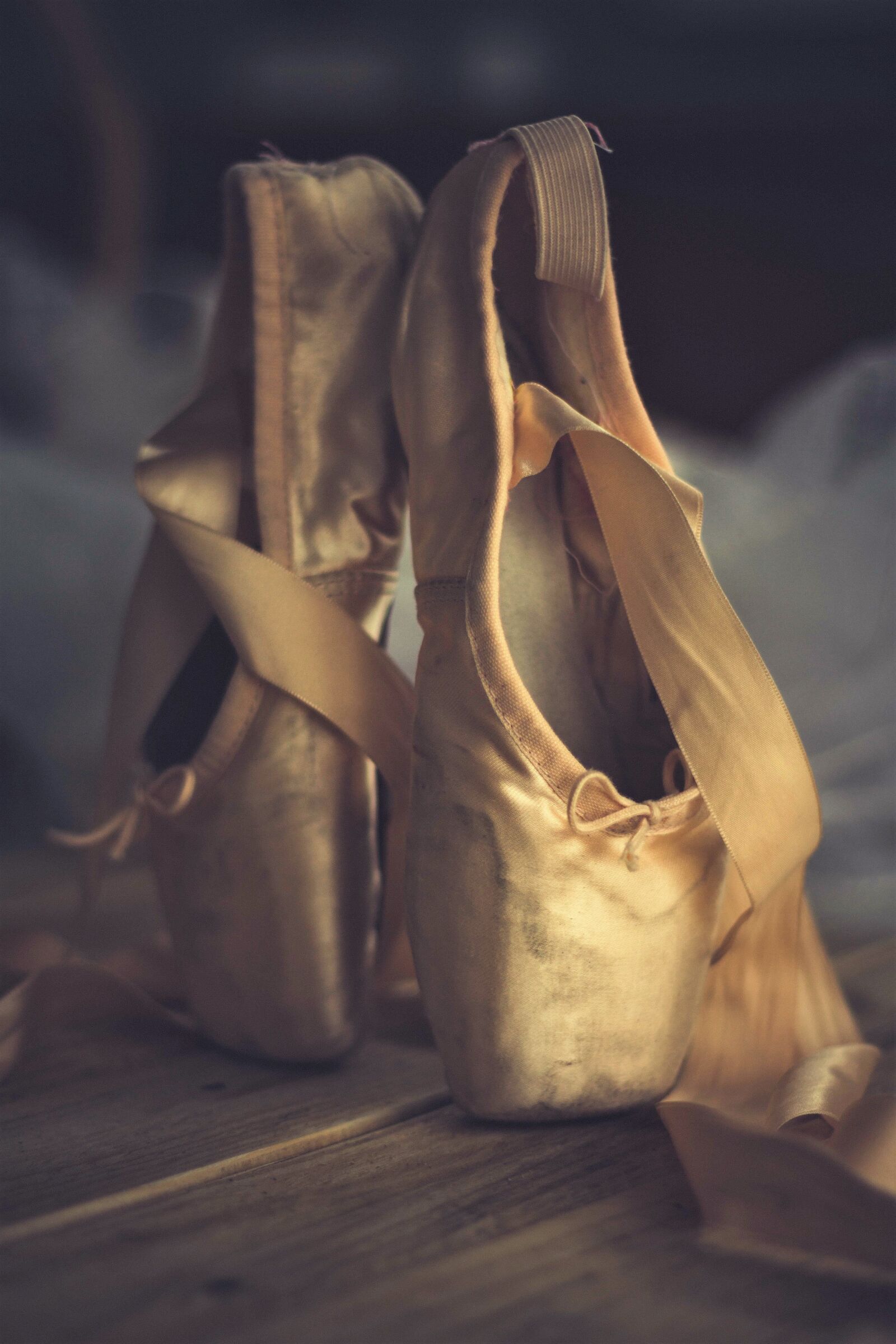 Canon EOS 700D (EOS Rebel T5i / EOS Kiss X7i) + Canon EF 50mm F1.8 II sample photo. Slipper, dance, ballet photography