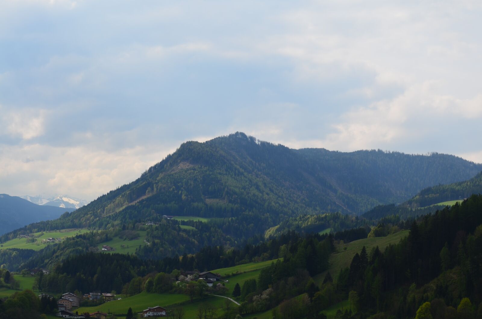 Nikon D5100 sample photo. Landscape, tree, nature photography