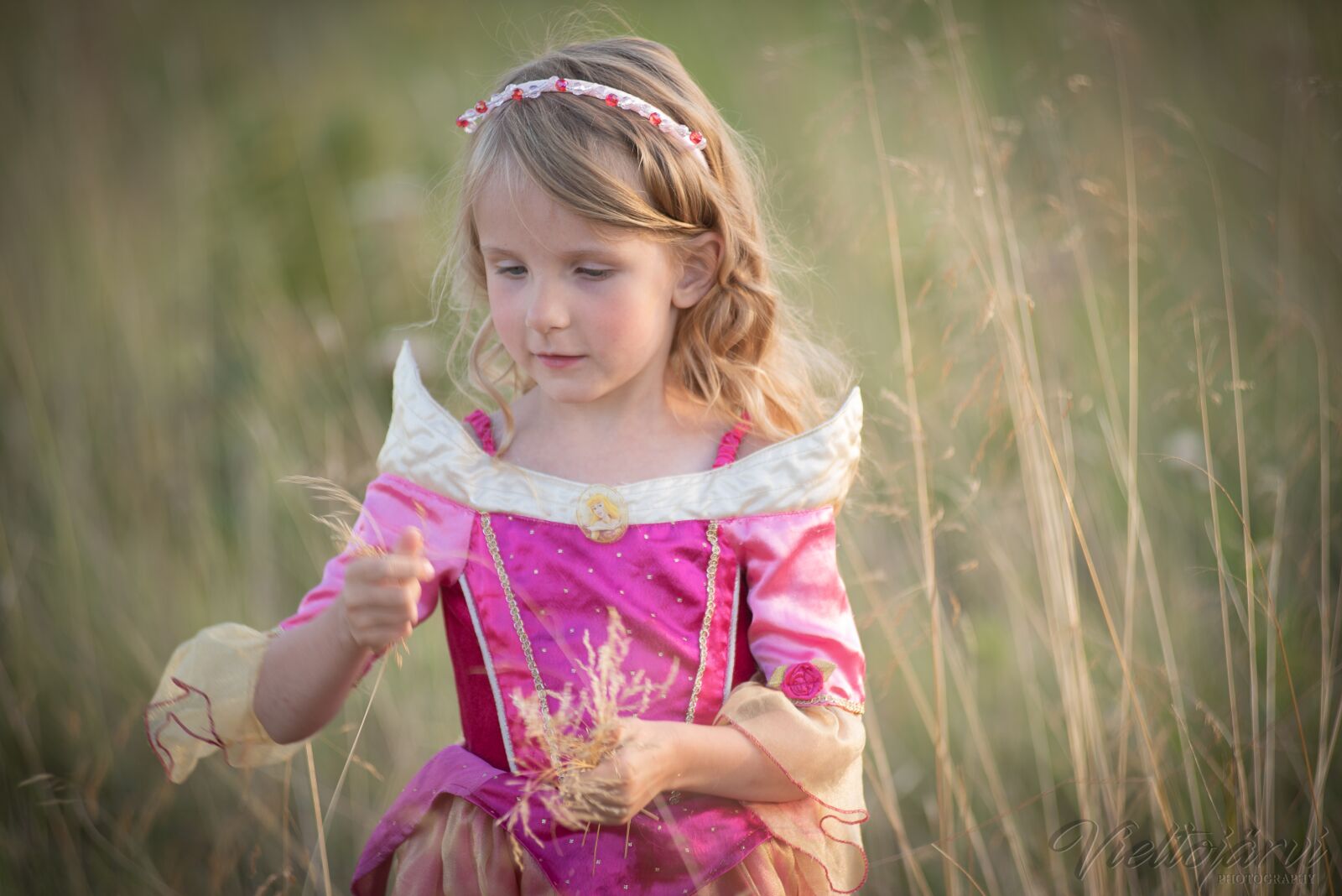 Nikon D750 sample photo. Girl, nature, princess photography