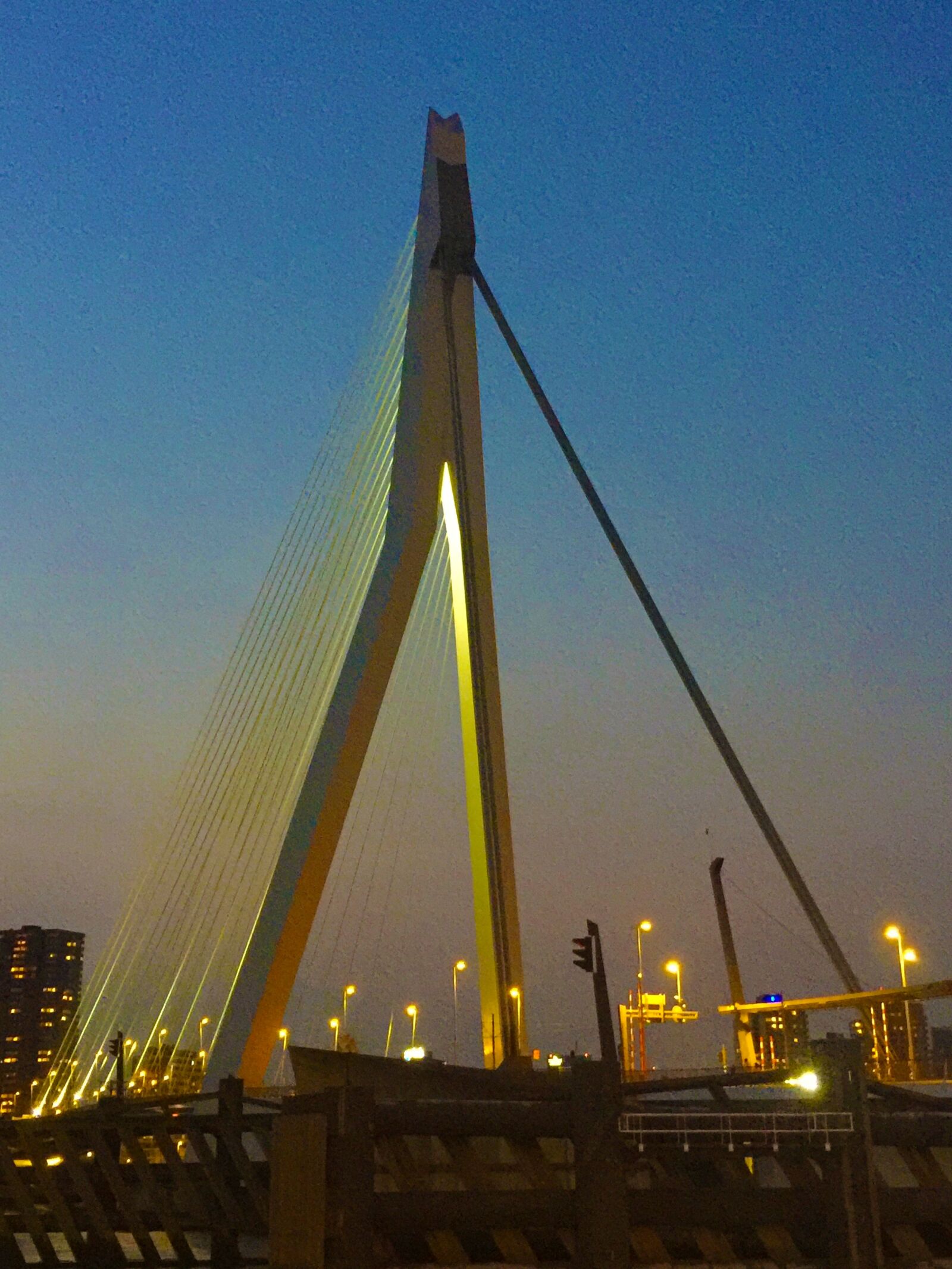 iPhone 6 Plus back camera 4.15mm f/2.2 sample photo. Bridge, erasmus bridge, rotterdam photography