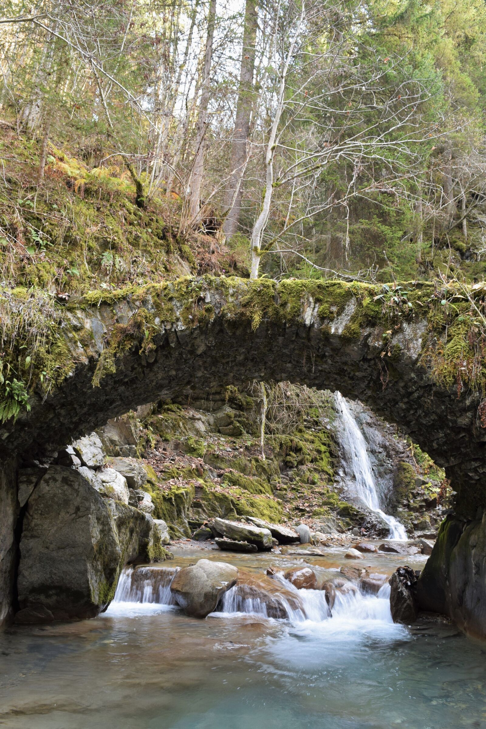 Nikon D3300 sample photo. Bridge, nature, passage photography