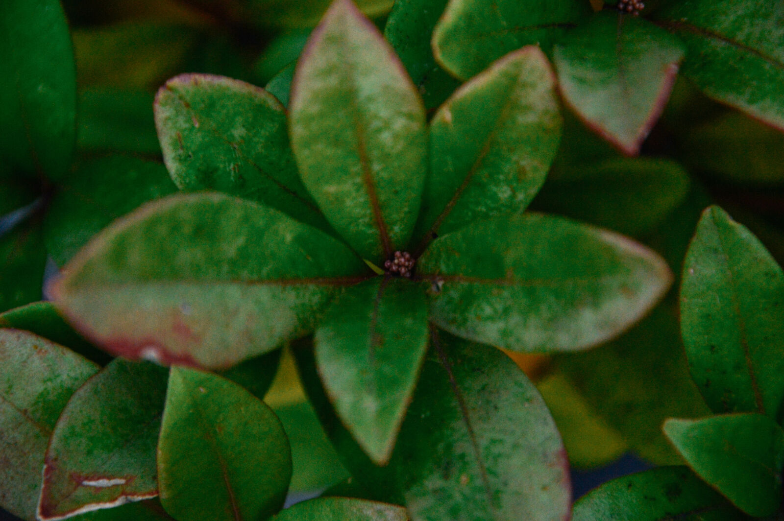 Nikon D3200 sample photo
