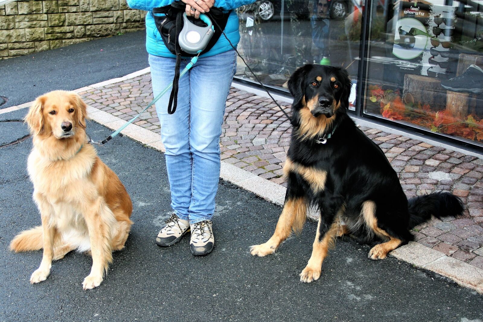 Canon EOS 400D (EOS Digital Rebel XTi / EOS Kiss Digital X) sample photo. On a leash, dogs photography