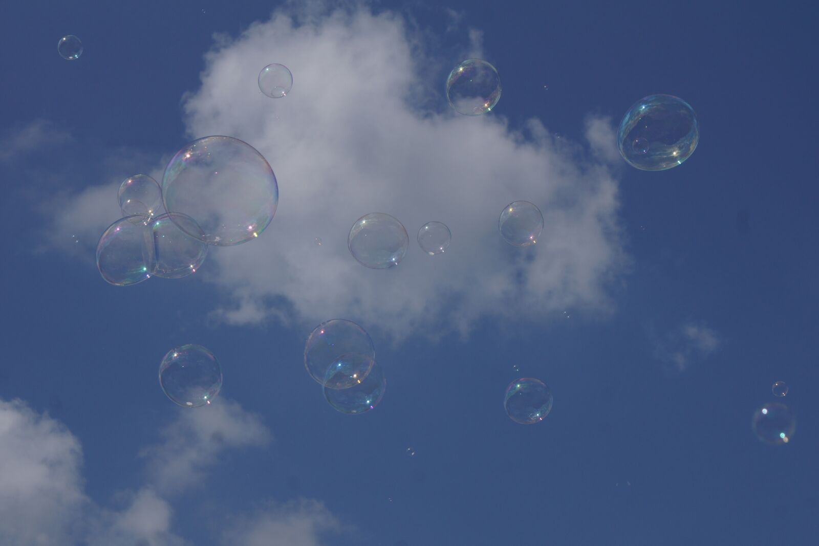 Sony Alpha DSLR-A500 sample photo. Soap bubbles, sky, blue photography