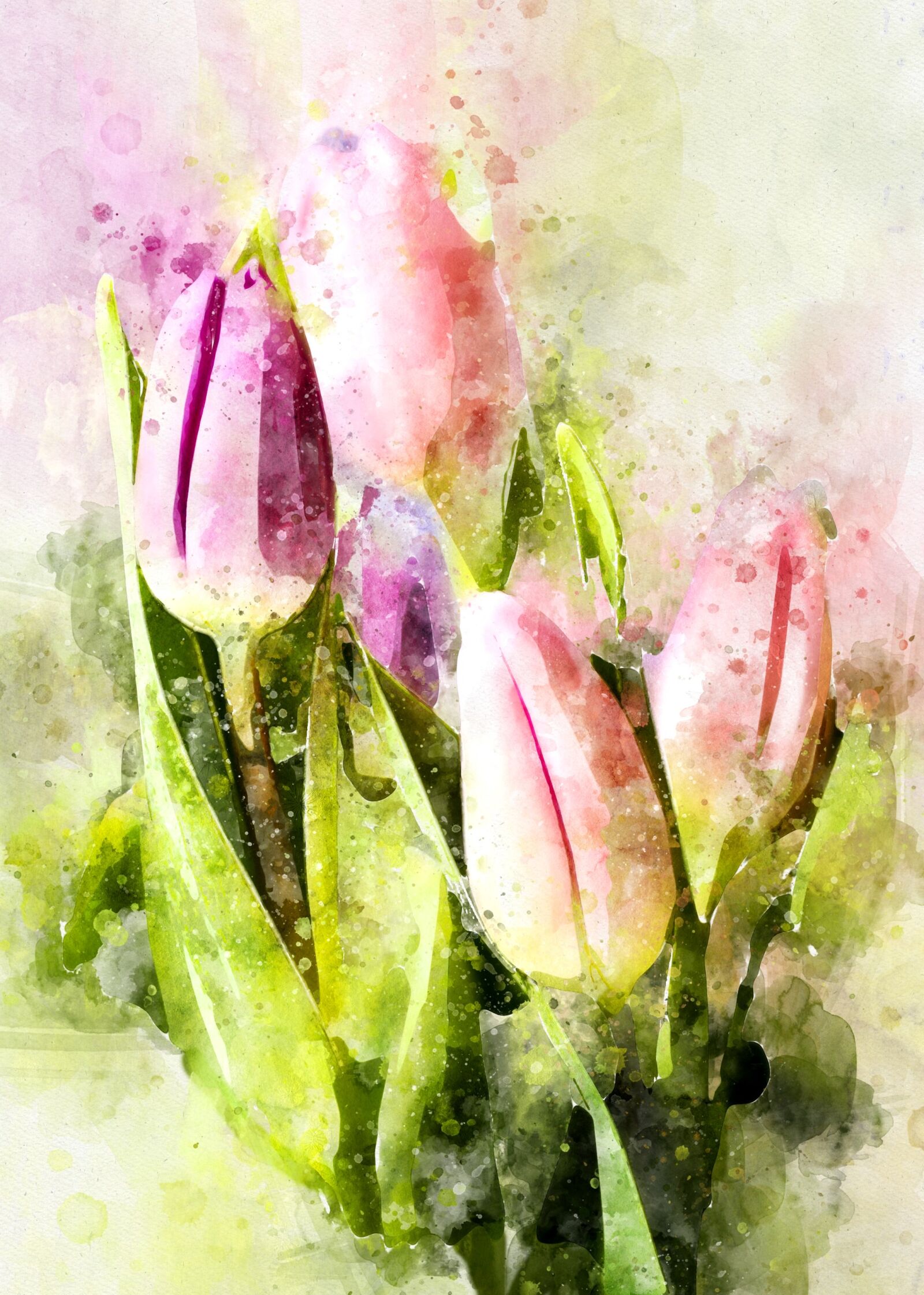 Canon EOS 1000D (EOS Digital Rebel XS / EOS Kiss F) sample photo. Tulips, flowers, tulip bouquet photography