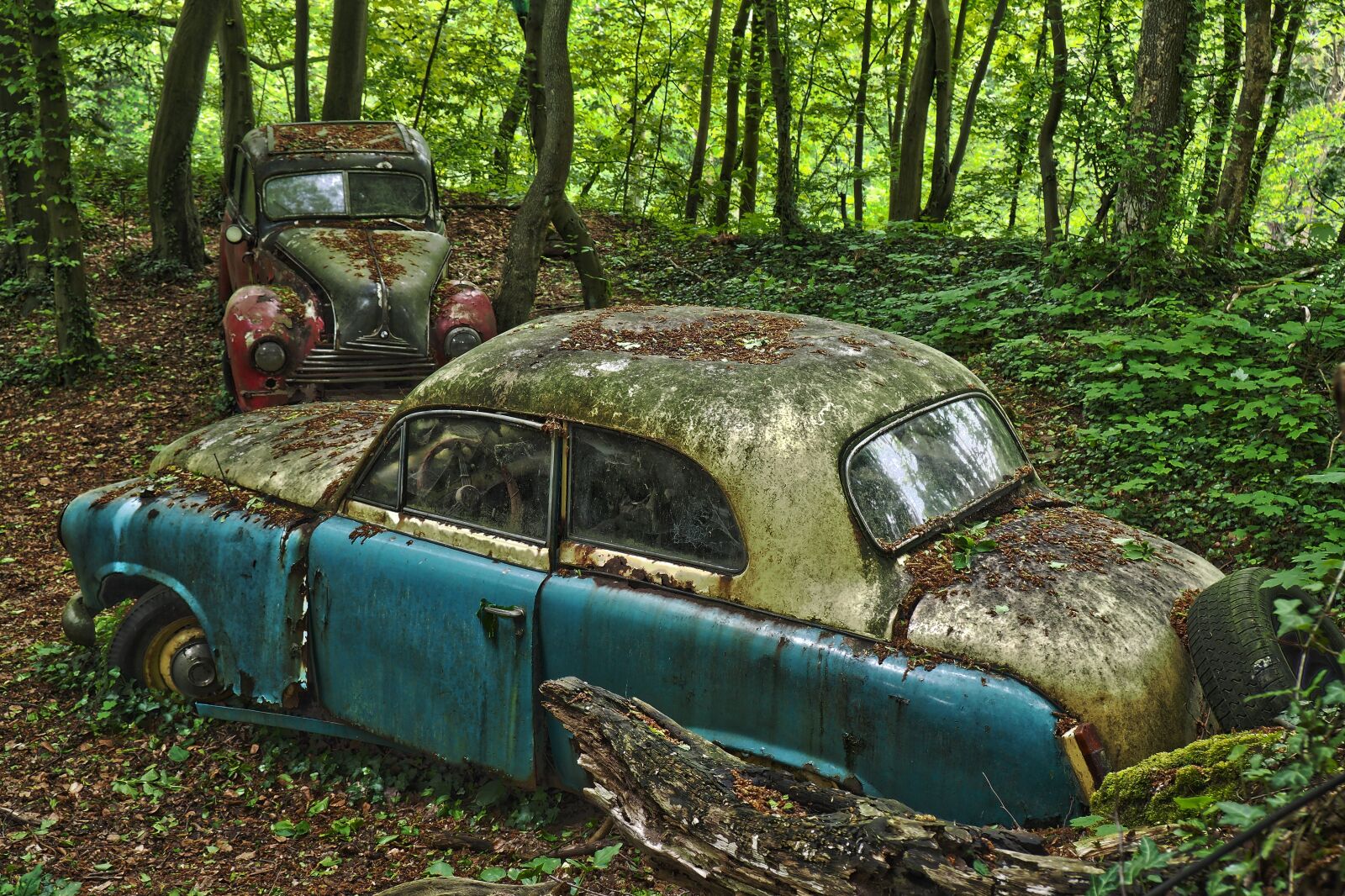 Olympus OM-D E-M10 sample photo. Auto, car cemetery, oldtimer photography