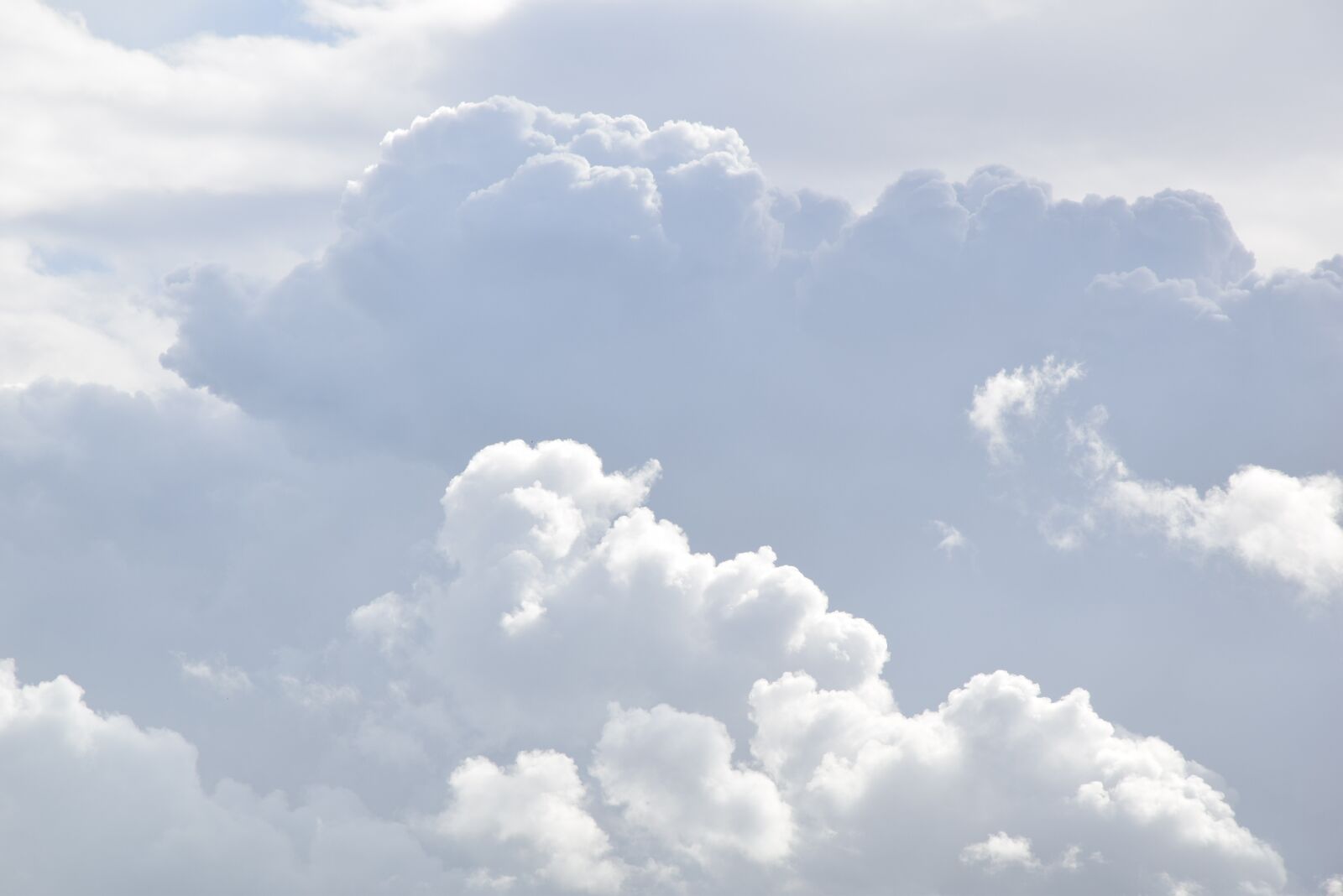 Nikon D5300 sample photo. Heaven, light, white photography