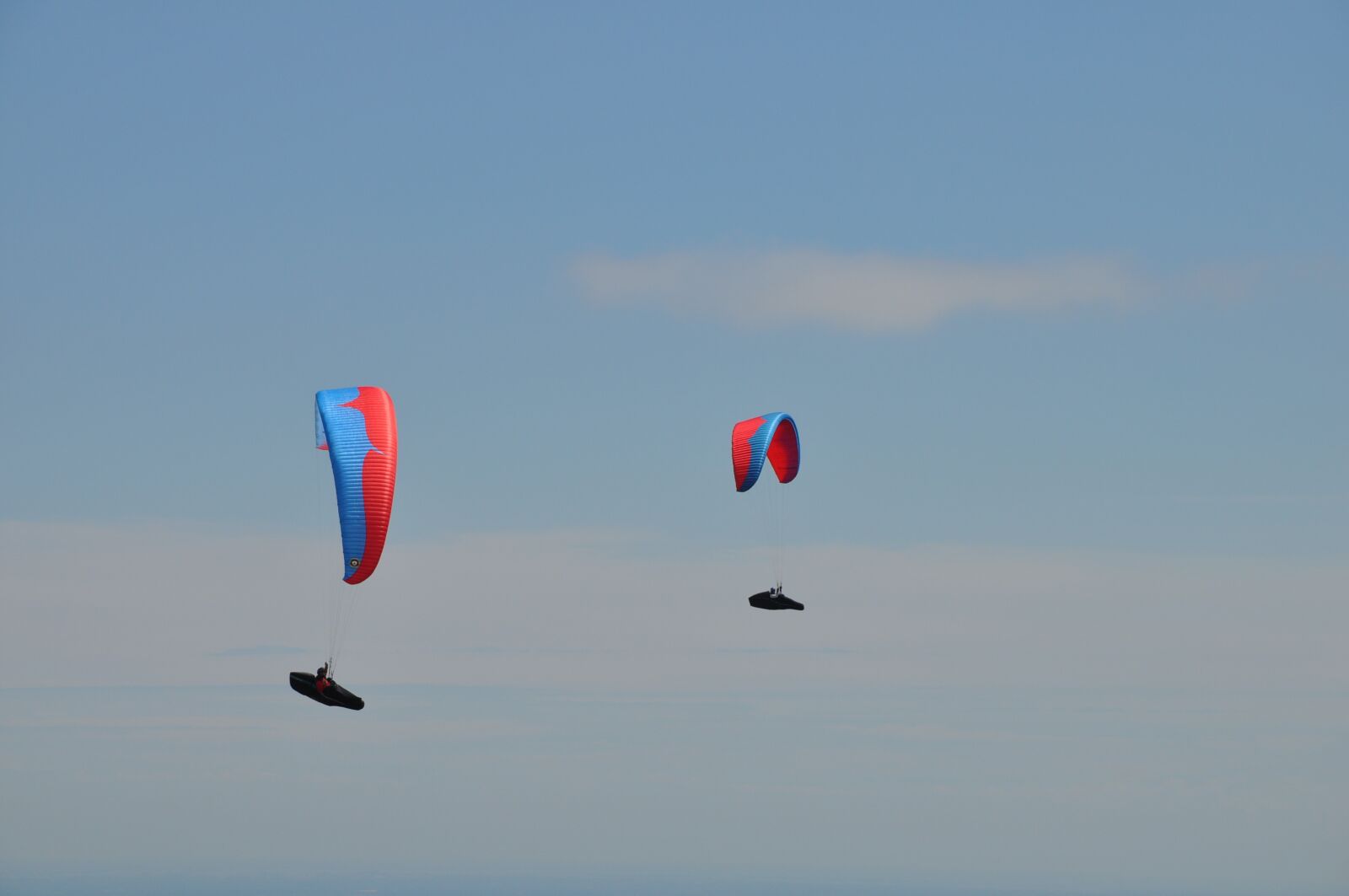 Nikon D5000 sample photo. Paragliding, extreme, sky photography